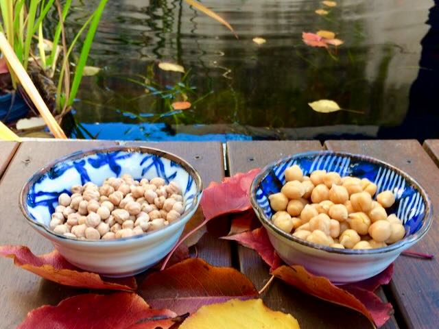 chickpeas thumbnail