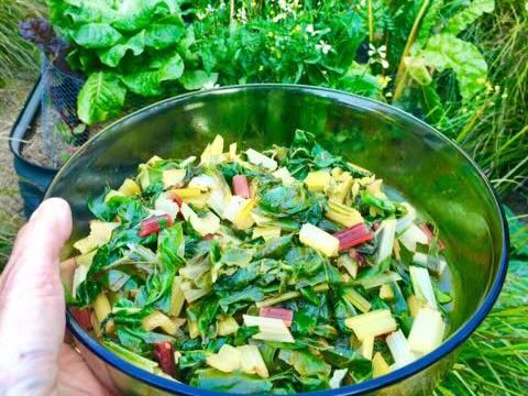 Garlic Chilli Chard thumbnail